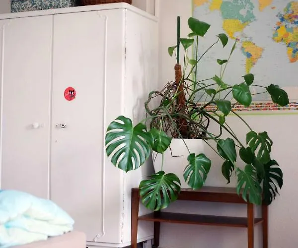 Grosses Lichtdurchflutetes Loft Im Herzen Der City * Bochum