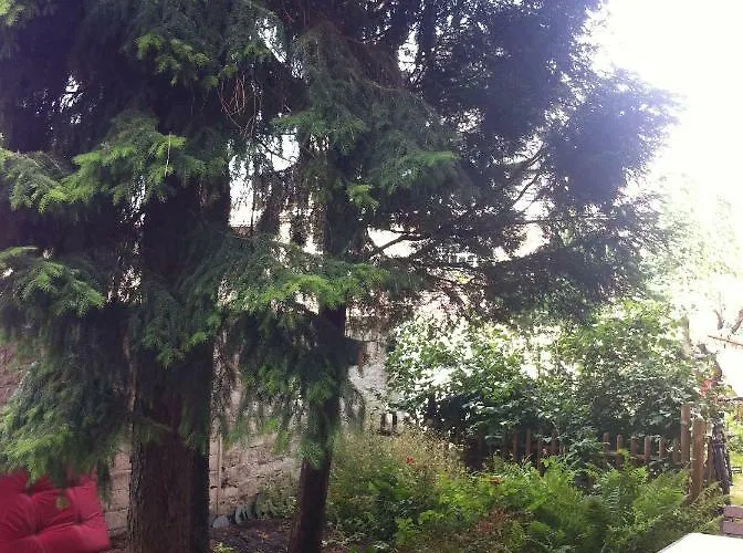 Grosses Lichtdurchflutetes Loft Im Herzen Der City Apartment Bochum